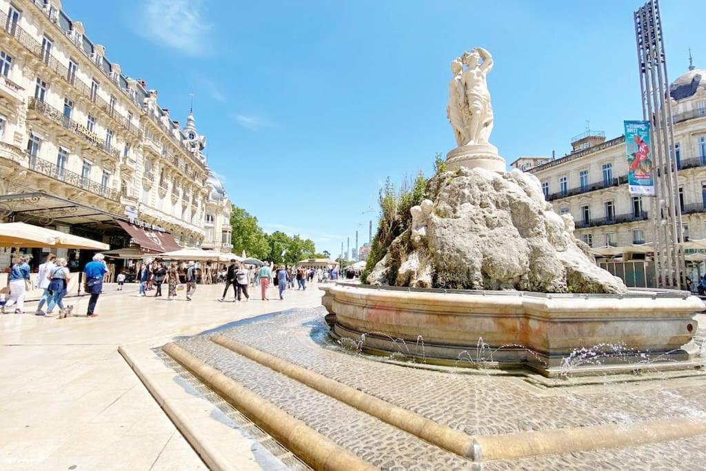 Beaux Arts Avec Clim Et Terrasse * Montpellier