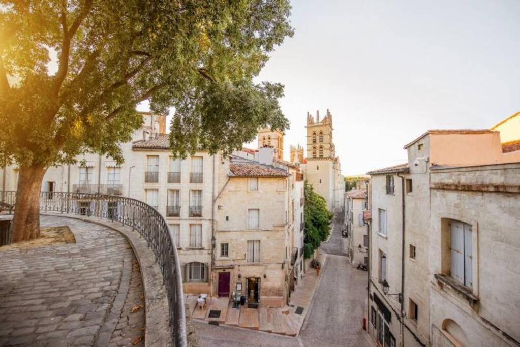 Appartamento Beaux Arts Avec Clim Et Terrasse Montpellier